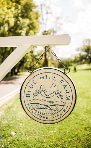 View More: http://amandasummersphotography.pass.us/saba_wedding